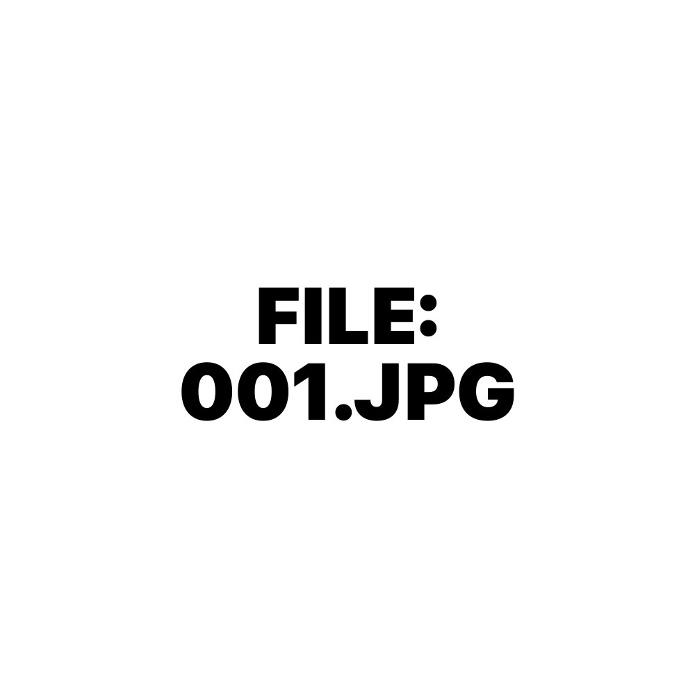 FILE 001