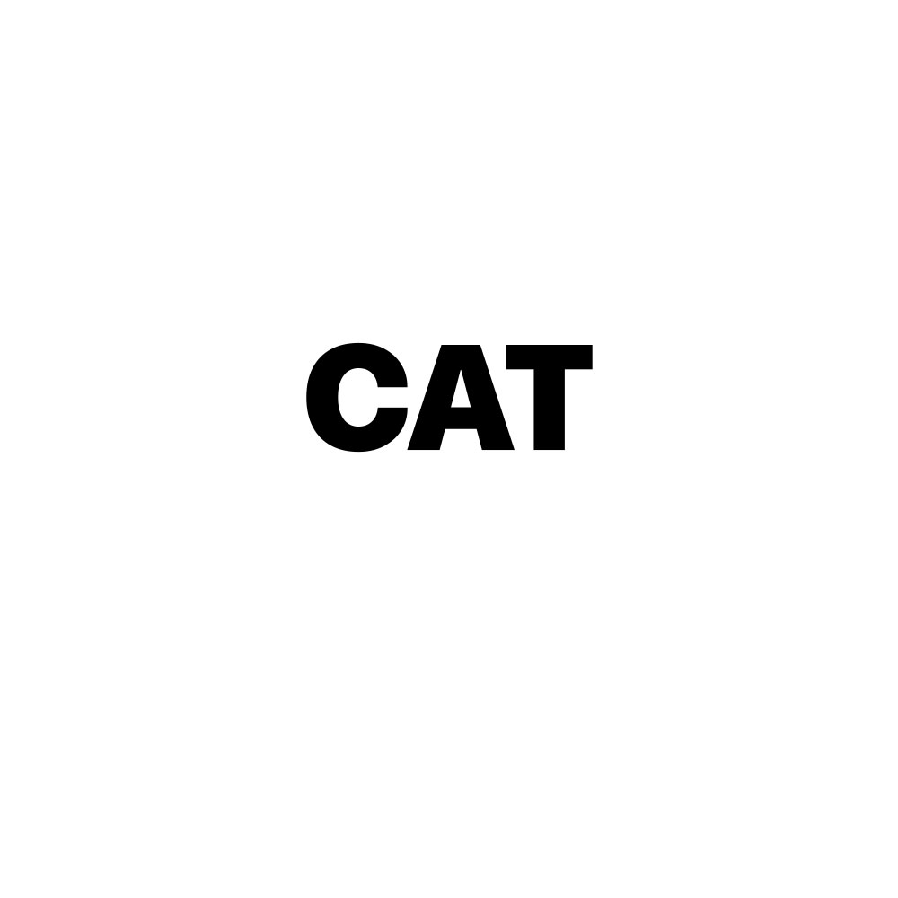 CAT / WHITE