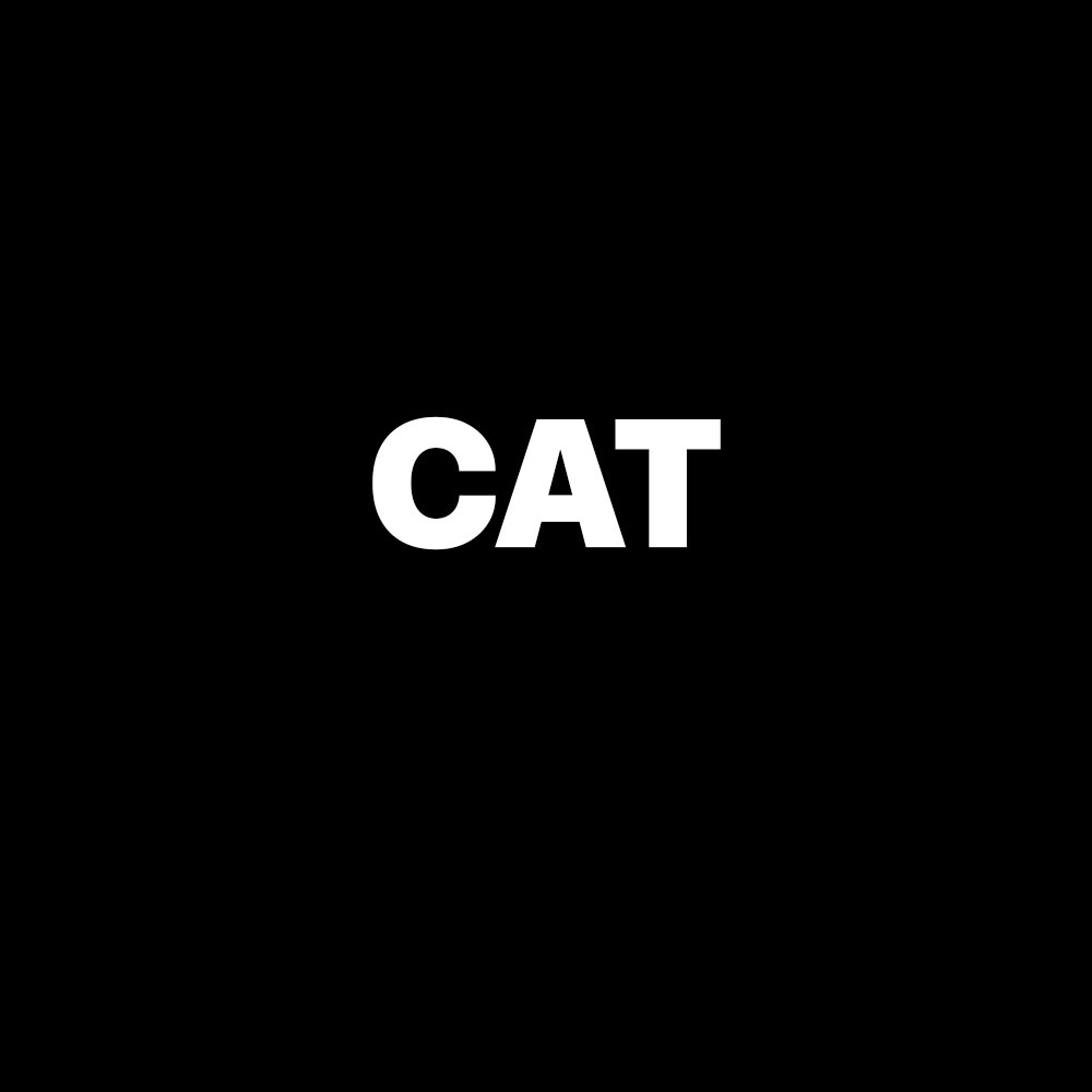 CAT / BLACK